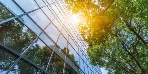 le remere pour les professionnels
