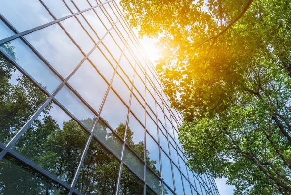 le remere pour les professionnels